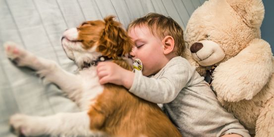 bebe durmiendo con la mascota