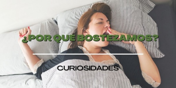 ¿Por qué bostezamos?