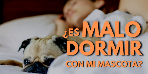 ¿Es malo dormir con tu mascota?