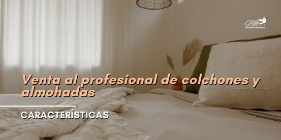 Venta al profesional de colchones y almohadas 